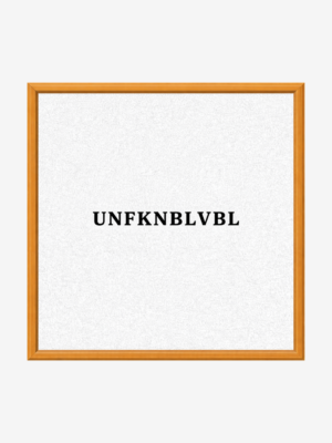 2685b233-eee8-4c40-9fab-fa47976235fe UNFKNBLVBL