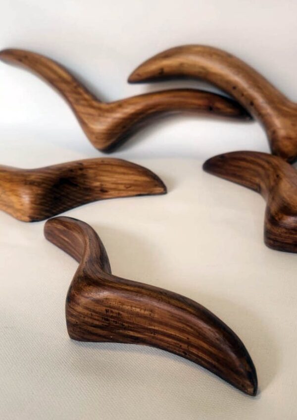 WhatsApp Image 2026-02-19 at 4.23.17 AM(12)